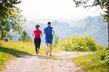 Image showing young couple jogging on sunny day at nature