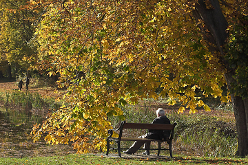 Image showing Man on bench in autumn in Denmark