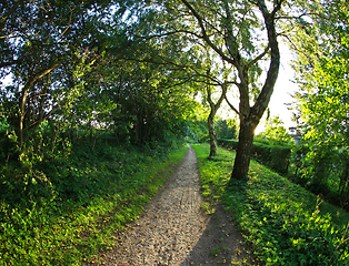 Image showing Views from Horsholm, denmark