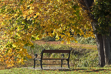 Image showing beanch with dead leaves in autumn in Denmark