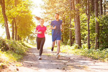 Image showing young couple jogging on sunny day at nature