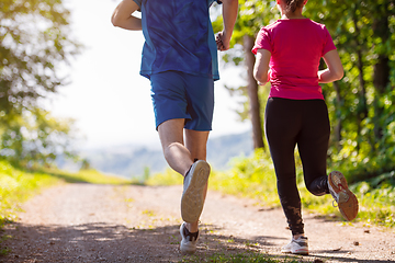 Image showing young couple jogging on sunny day at nature