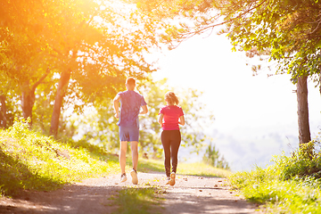 Image showing young couple jogging on sunny day at nature