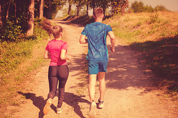 Image showing young couple jogging on sunny day at nature