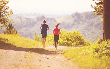 Image showing young couple jogging on sunny day at nature