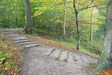 Image showing Staircase