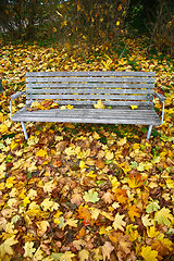 Image showing beanch with dead leaves in autumn in Denmark