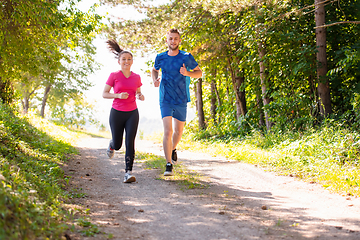 Image showing young couple jogging on sunny day at nature