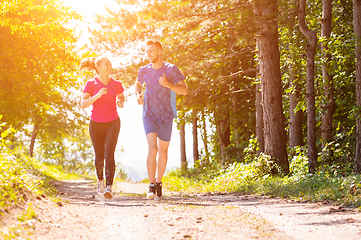 Image showing young couple jogging on sunny day at nature