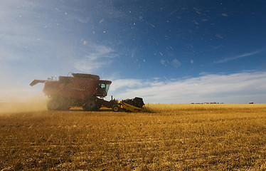 Image showing Working the crop