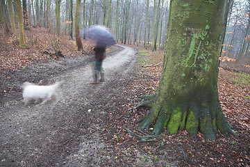 Image showing Walking the dog in denmark in autumn