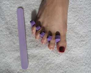 Image showing female foot during a pedicure set up