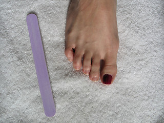 Image showing female foot during a pedicure set up