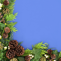 Image showing Traditional Winter Greenery Background Border  