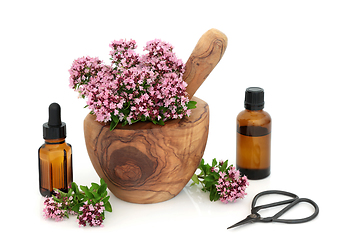 Image showing Oregano Herb Flowers for IBS Herbal Medicine