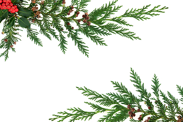 Image showing Christmas Holly and Cedar Cypress Background Border