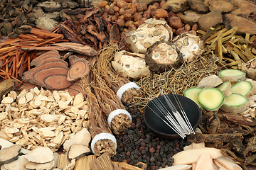 Image showing Chinese Acupuncture Needles and Herbal Medicine