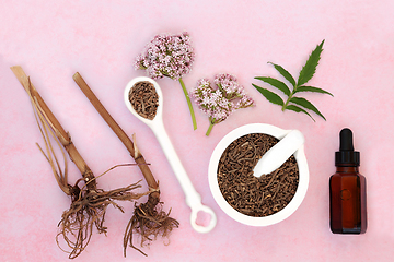 Image showing Valerian Herb Root and Flowers