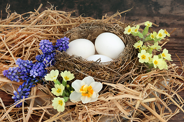 Image showing Symbols of Spring with Natural Bird Nest 