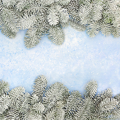 Image showing Winter and Christmas Snow Covered Fir Border 