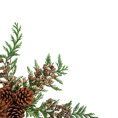 Image showing Cedar Cypress Fir and Pine Cone Border 