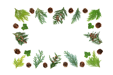 Image showing Cedar Cypress Ivy and Pine Cone Abstract Border