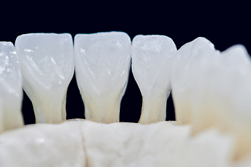 Image showing Lower human jaw with teeth isolated on black background