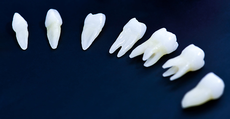 Image showing White teeth on blue background