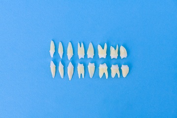 Image showing Top view of white teeth on blue background