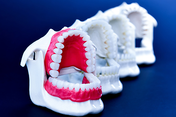 Image showing Dentist orthodontic teeth models