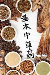 Image showing Chinese Fundamental Herbs