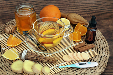 Image showing Homemade Remedy for Cold and Flu Virus