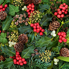 Image showing Natural Winter Greenery Holly and Flora Background