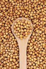 Image showing Vegan Roasted Spicy Chickpeas in a Spoon