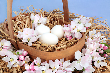 Image showing Spring Apple Blossom and White Eggs in a Basket