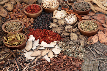 Image showing Traditional Chinese Herbs for Herbal Medicine