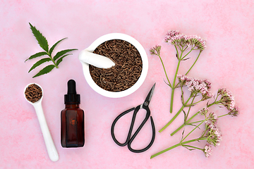 Image showing Valerian Herb Root and Flowers for Herbal Medicine