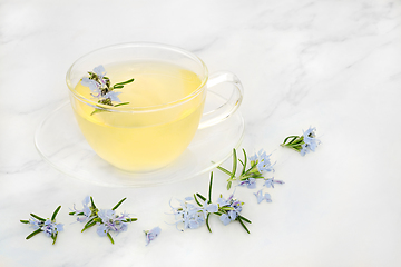 Image showing Rosemary Herb Tea for Digestion Problems
