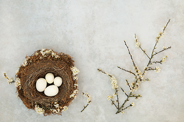 Image showing Spring Birds Nest with Eggs and Blackthorn Blossom 