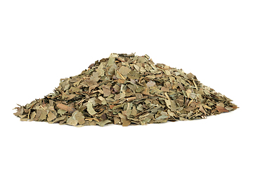 Image showing Ash Herb Leaves Herbal Medicine