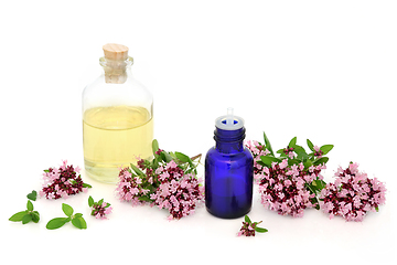 Image showing Oregano Herb Essential Oil Herbal Medicine