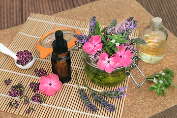 Image showing Flowers and Herbs for Essential Oil Preparation