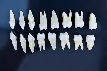 Image showing Top view of white teeth on blue background