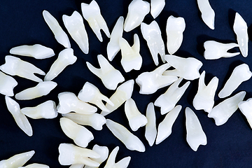 Image showing White teeth on blue background