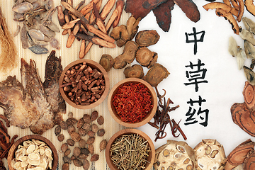 Image showing Chinese Healing Herbs