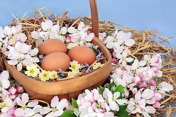 Image showing Freshly Laid Brown Eggs and Spring  Blossom
