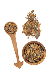 Image showing Cascara Herb Bark Herbal Medicine