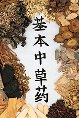 Image showing Chinese Fundamental Herbs