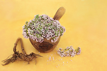 Image showing Valerian Herb Root and Flowers