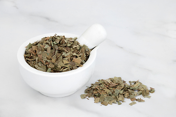 Image showing Ash Herb Leaves Herbal Medicine